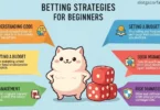betting strategies for beginners